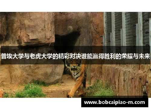 普埃大学与老虎大学的精彩对决谁能赢得胜利的荣耀与未来