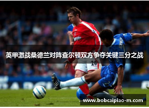 英甲激战桑德兰对阵查尔顿双方争夺关键三分之战