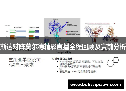 斯达对阵莫尔德精彩直播全程回顾及赛前分析